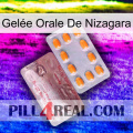 Gelée Orale De Nizagara new13